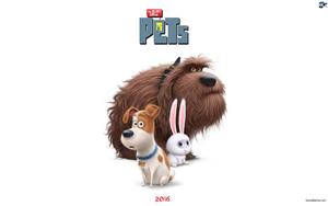 The Secret Life of Pets